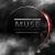 Neutron Star Collision