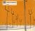 Origin of Symmetry