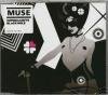 Supermassive Black Hole